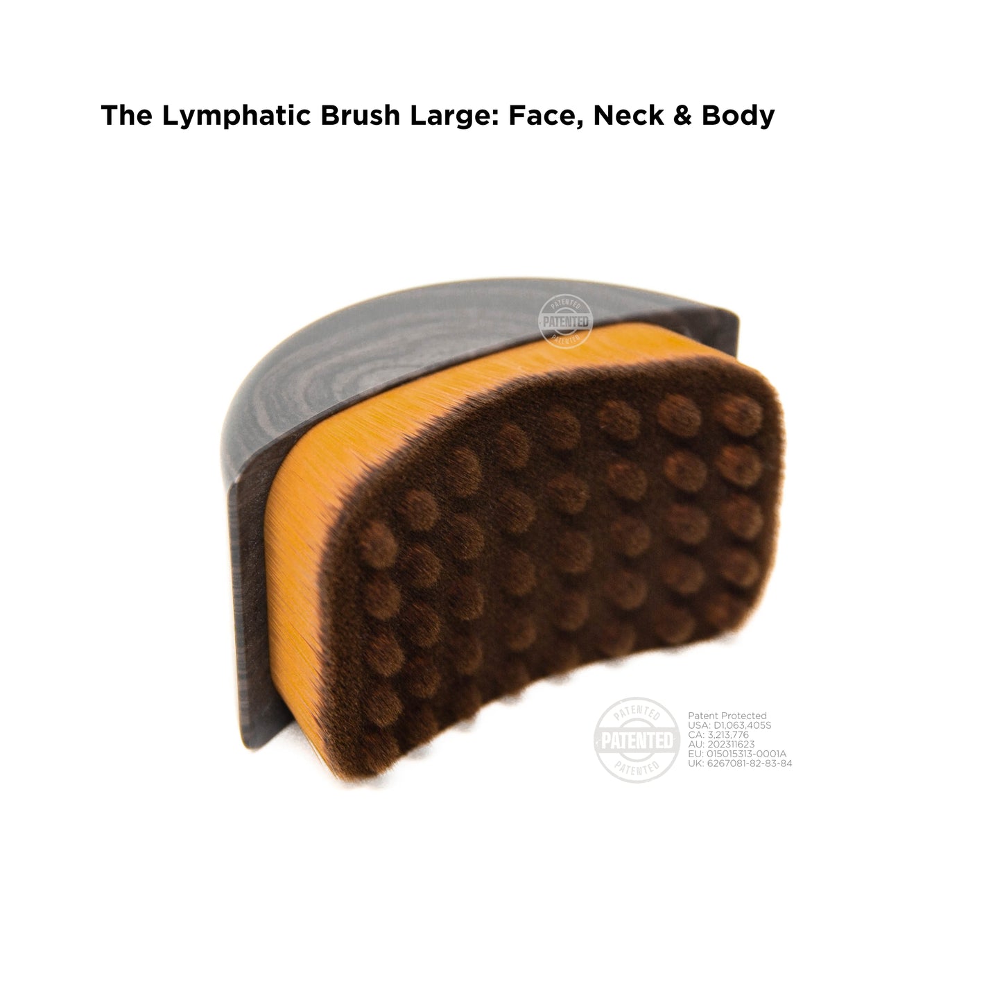 Lymphatic Brush by Cecily Braden - LARGE AND SMALL (PRE ORDER NOW)